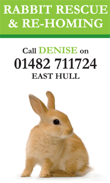 Rabbit Rescue and re-homing logo