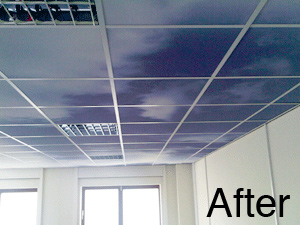 After - Print direct to ceiling tiles and create themed areas for retail, professional and leisure environments.